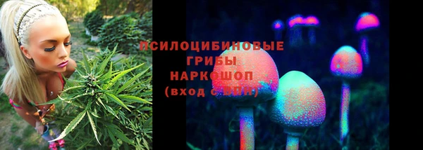 винт Кинешма