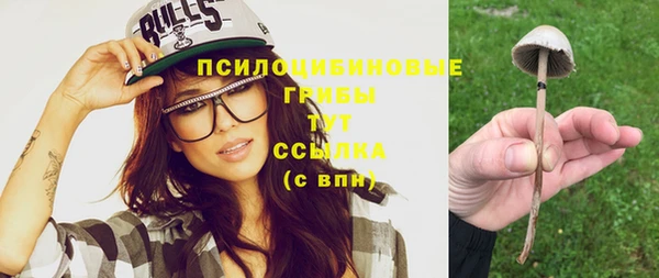 винт Кинешма